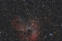 IC410 PatE