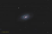 M64